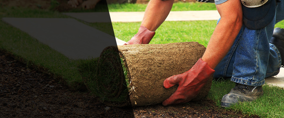 Roseland Landscapers